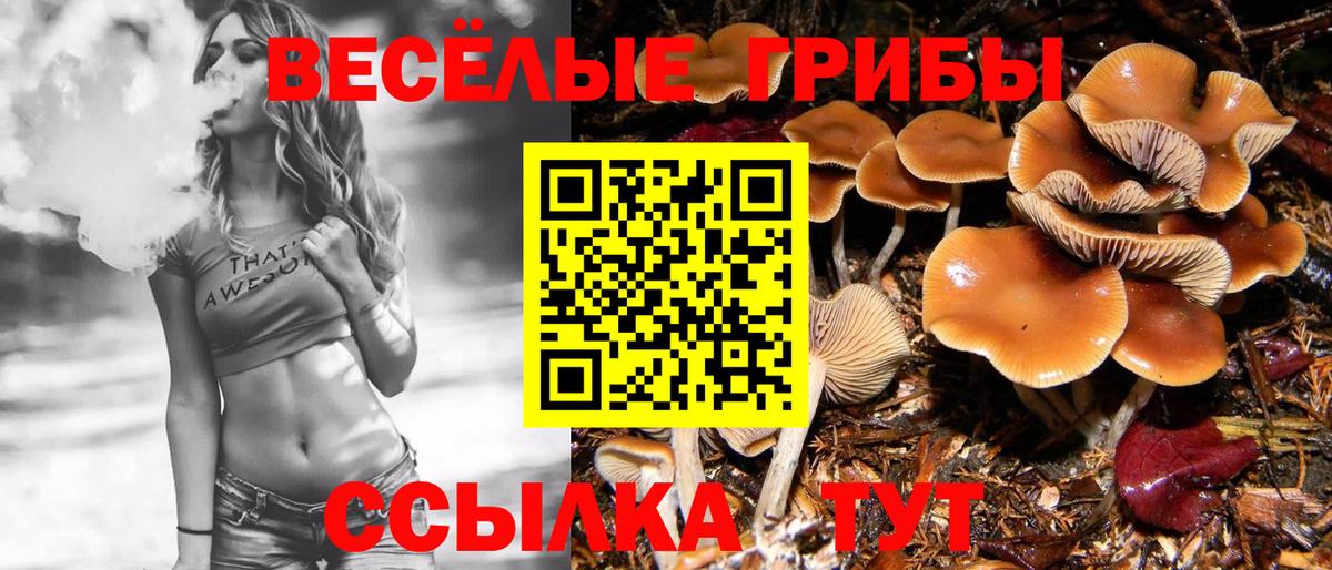 Галлюциногенные грибы Cubensis Усть-Кут