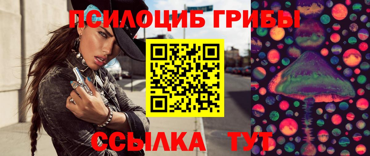 Галлюциногенные грибы GOLDEN TEACHER  наркошоп  Усть-Кут  Вход с VPN  Галлюциногенные грибы Cubensis 