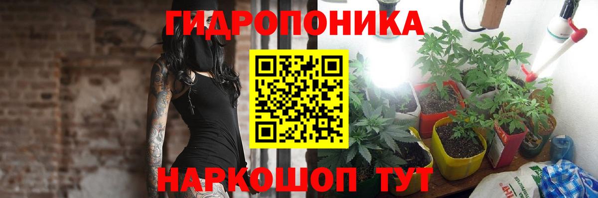 Каннабис конопля  Шишки марихуана OG Kush  Усть-Кут  Вход с VPN 